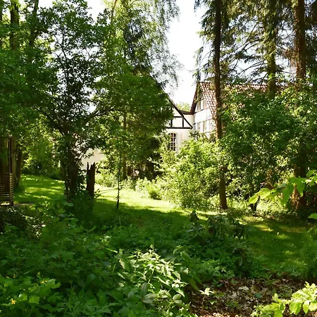 Bornemann Diemelsee