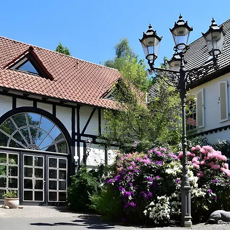 Bornemann * Diemelsee